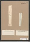 Pleurosigma angulatum var. elongatum (W.Sm.) V.H. (de-Toni-Nr.: Genus 13, Species 1001) Zeichnungen Sammlung Grunow Nr. 2009 (NHMW-BOT-W0368858)